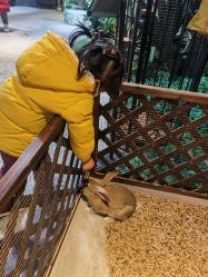 -酷嗒动物文化乐园(cutezoo西溪乐天城店)