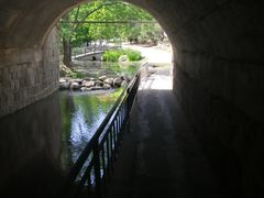 -白水寺森林公园