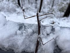 -终南山南五台景区