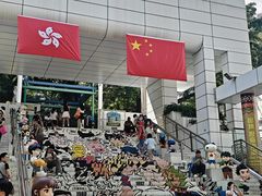 -九龙公园