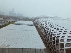 -深圳湾木棉花酒店