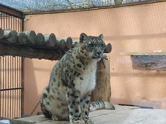 -青藏高原野生动物园
