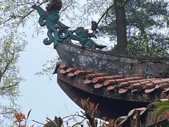 -黔灵山公园