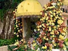 -常熟路(地铁站)