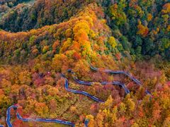 -光雾山旅游景区