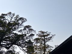 -江心屿景区
