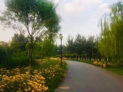 -永定河休闲森林公园