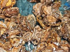 -龙宴海鲜城(经中路店)