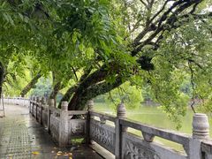 -谢怀亮芝麻茶
