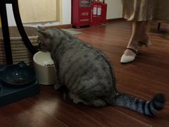 -H立方实景剧情密室(天河旗舰店)