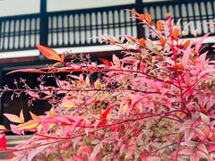 -京都御所