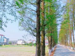 -金牛山大酒店(南北湖风景区店)