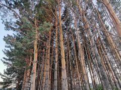 -北极村旅游风景区