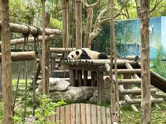 -上海野生动物园