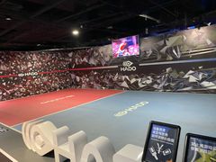 -VS SPORTS PARK运动玩乐园·团建·生日会(合生汇店)
