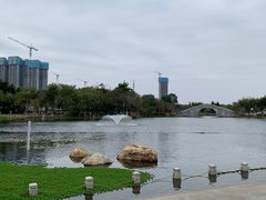 -映月湖公园
