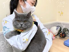 -谐和贝康宠物医院24小时·宠保定点(急重症转诊中心)