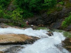 -广州白江湖森林公园