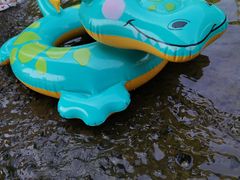 -北仑森林植物园