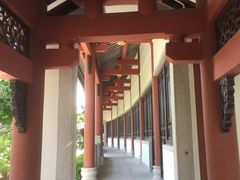 -广东花都湖国家湿地公园