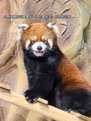 -Zoolung Zoolung动物主题公园(海信广场店)