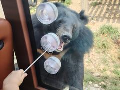 -大连森林动物园