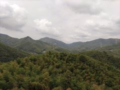 -宁波浙东大竹海景区
