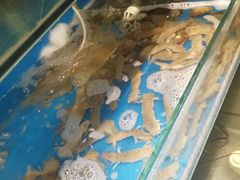 -臻鲜燕海鲜融合餐厅(金陵style店)