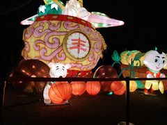 -武汉园博园(武汉自然博物馆)