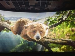 -百丽宫影城(嘉里汇店)