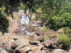 -海南热带雨林国家公园吊罗山景区