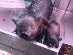 -Ole'超市(汉街万达店)