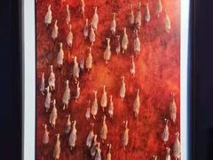 -罗红摄影艺术馆