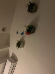 -倾城妃姿美疗中心