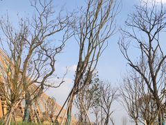 -中国天府农业博览园