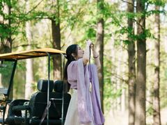 -黄海国家森林公园