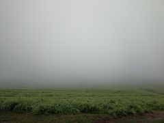 -扁都口生态休闲旅游区