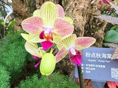 -北京植物园-展览温室