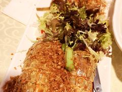 -喜记避风塘炒辣蟹(旗舰店)