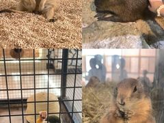 -海合安武汉极地海洋公园