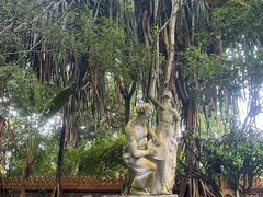 -瑞丽独树成林风景区