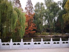 -钓鱼台国宾馆