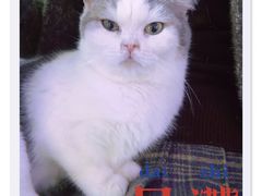 -极木²邸 人与宠物·互动社区