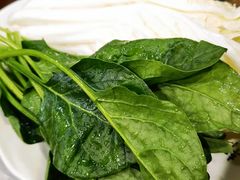 -芦月轩羊蝎子(北蜂窝店)