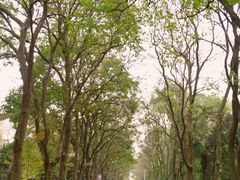 -安徽大学(龙河校区)
