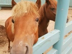 -酷鱼垂钓CLUB(朝阳区博大路店 )