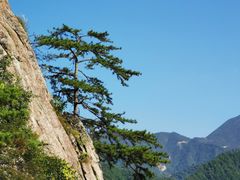 -陕西省红河谷森林公园