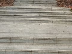 -瑶湖郊野森林公园