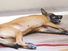 -富邦华一银行(新天地支行)