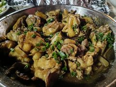 -鲤鱼塘农家山庄